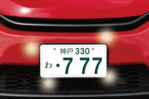 ナンバープレート　観賞用　希少　ゾロ目　license plate 230616-numberplate-well-th-