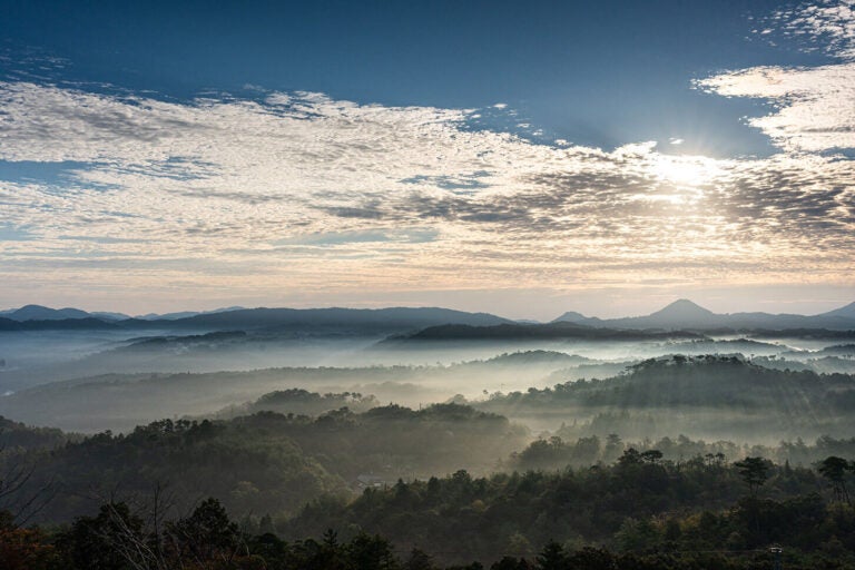 花の駅せら雲海／広島県｜インスタ映えするキャンプ場ガイドの決定版『絶景に泊まる』発売！ シャッターチャンスを逃すな