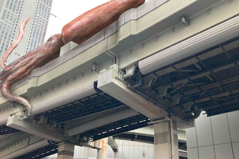 東池袋出入口付近の「イカの耳」のイメージ