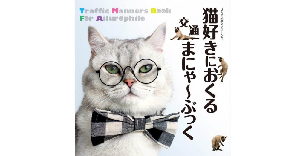 231117-catmanners-01-1024x522.jpg