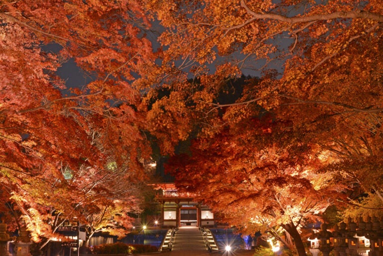 秋｜紅葉｜ランキング｜ライトアップ｜絶景スポット｜ドライブ｜観光｜7位：応頂山 勝尾寺　大阪府