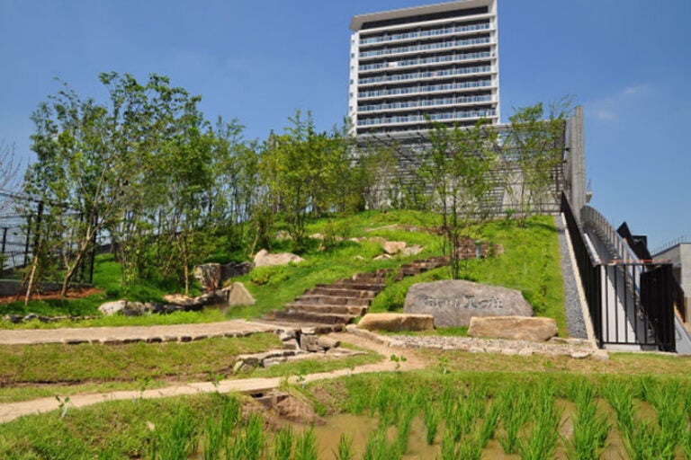 緑にあふれる「おおはし里の杜」