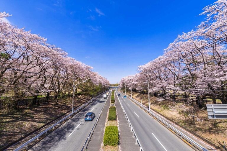 全線開通には至っていない東八道路