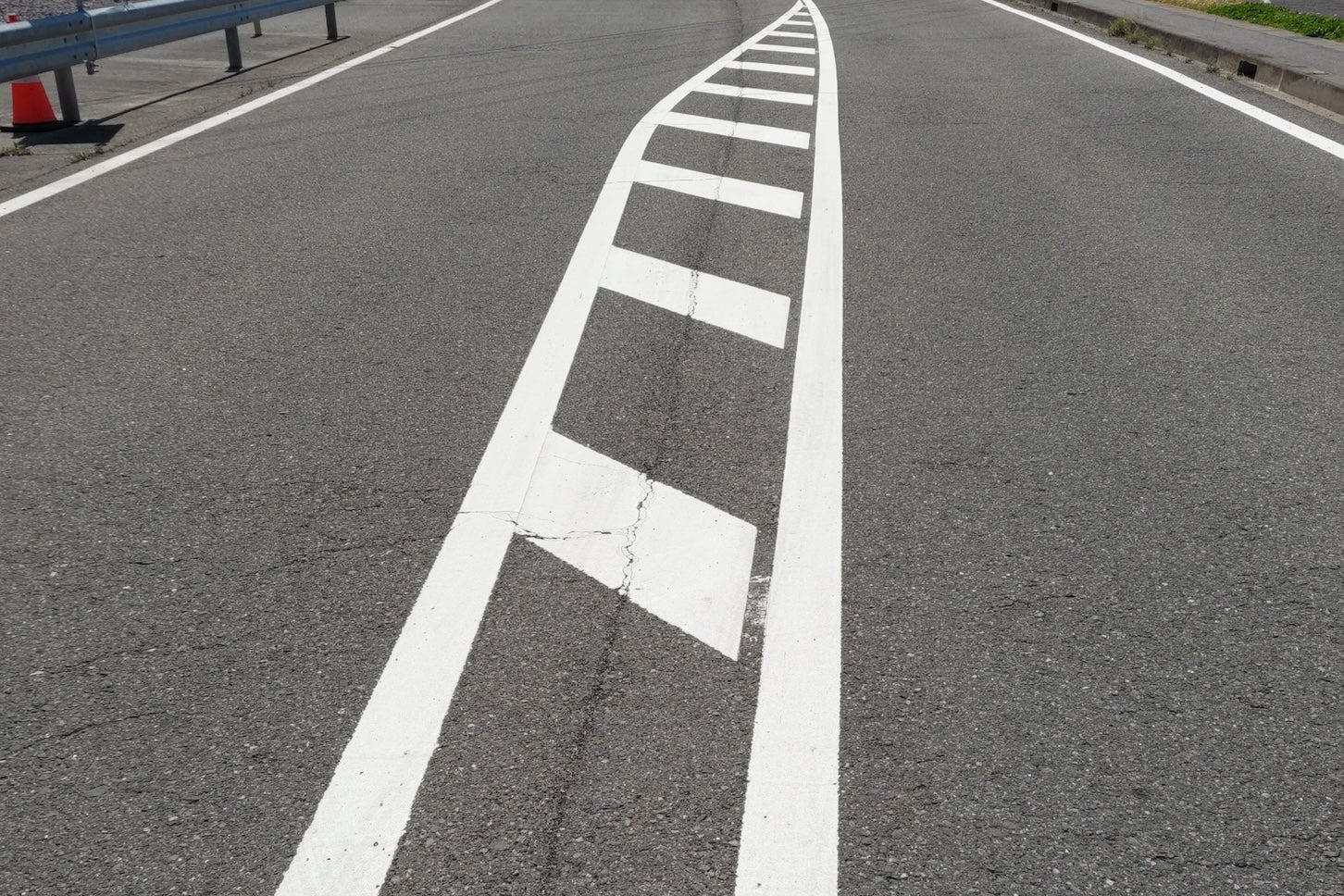 ゼブラゾーンの写真