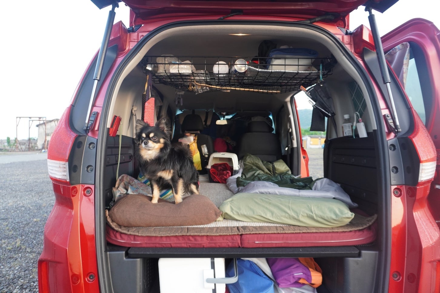ペットと一緒に旅をしたり、手軽にキャンプのような開放感を得られたりするのも車中泊の魅力。