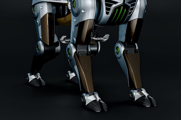 カワサキ コルレオ｜Kawasaki CORLEO