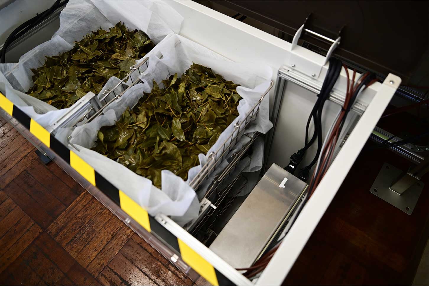 装置内に入れられた茶葉。蓋をしてじっくりとAIRを照射していく