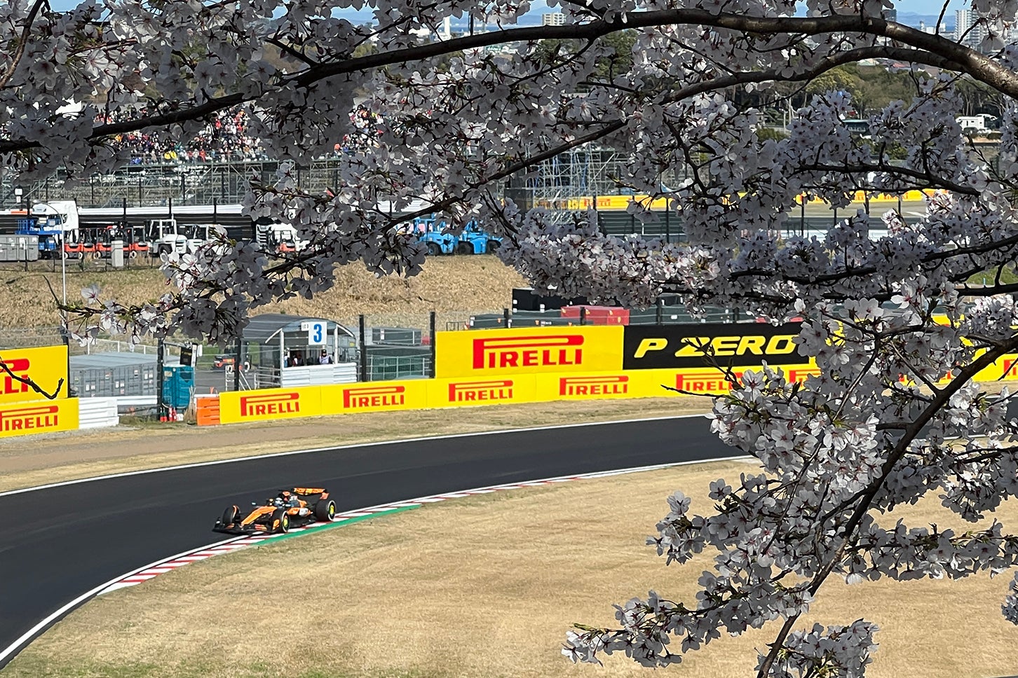 F1GP開催時は桜が満開だった