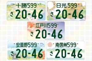 takusan様専用 江戸川 日光ナンバー 2枚セット 新ご当地ナンバーが5