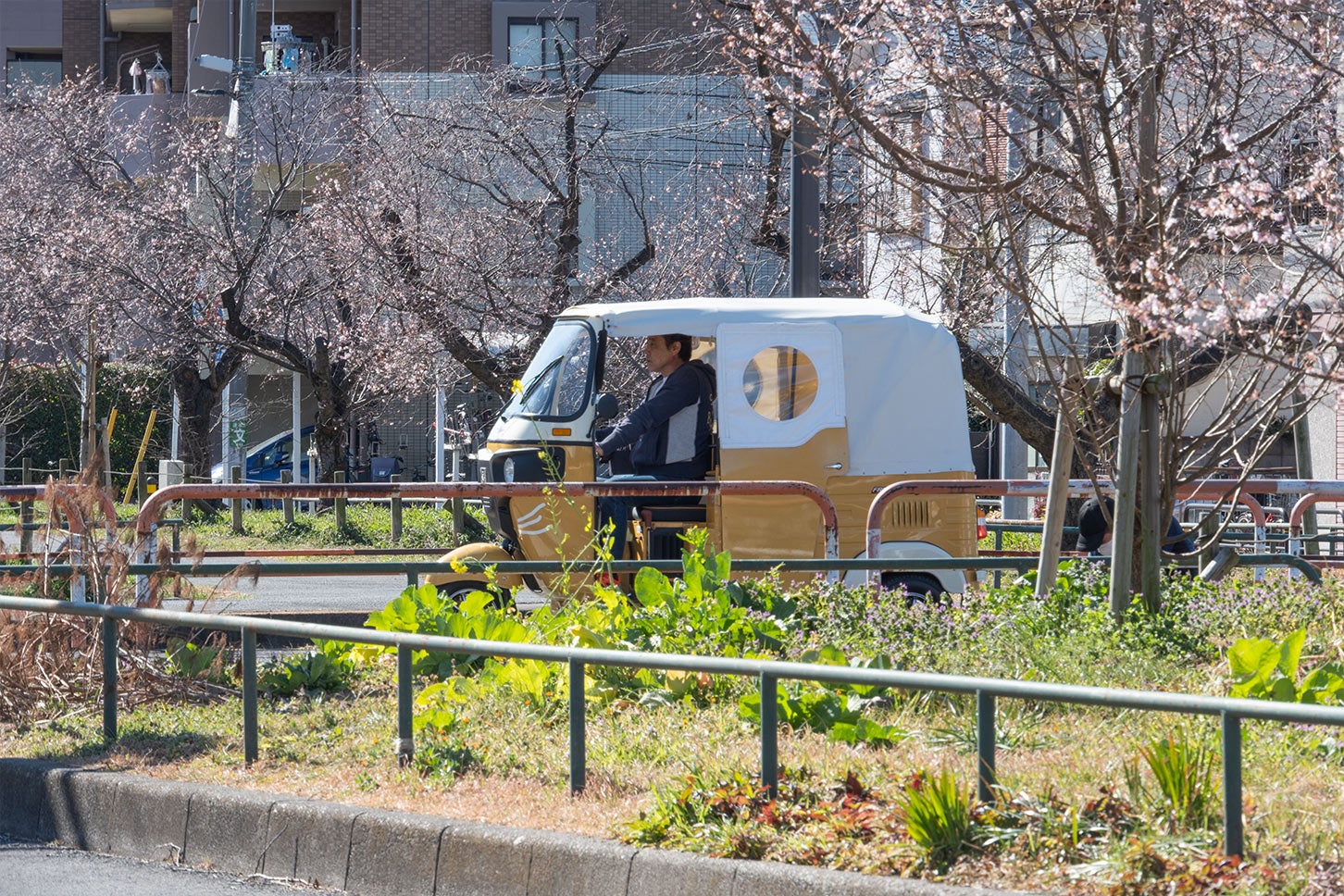 フリーダム250｜FREEDOM 250