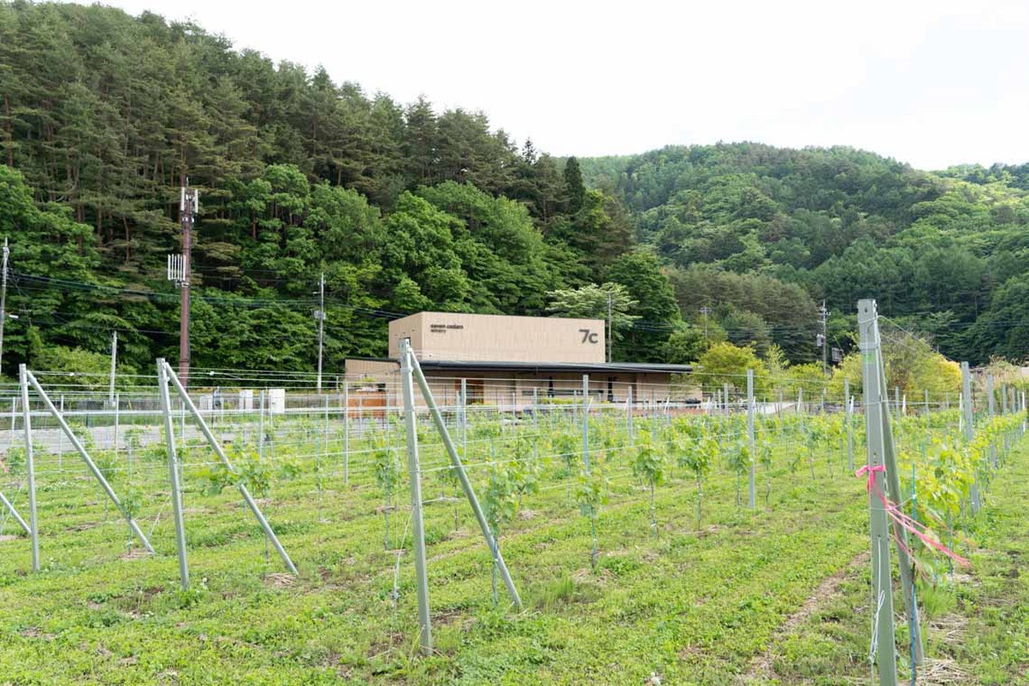 「7c | seven cedars winery」醸造所とぶどう畑