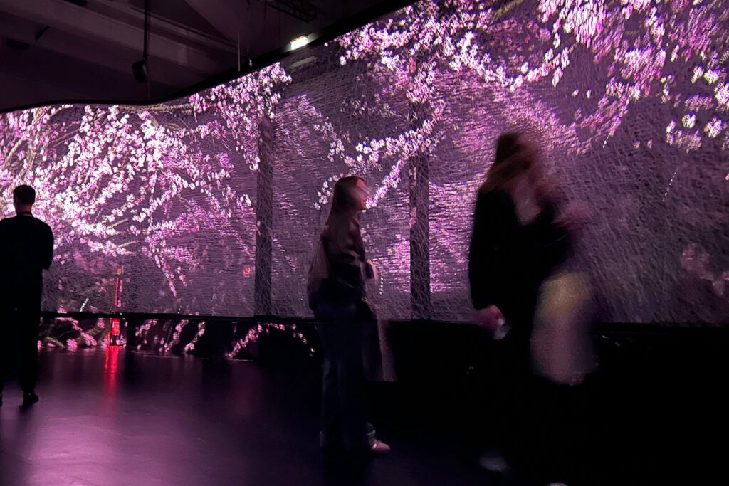 0602-lexus-milan-design-week-