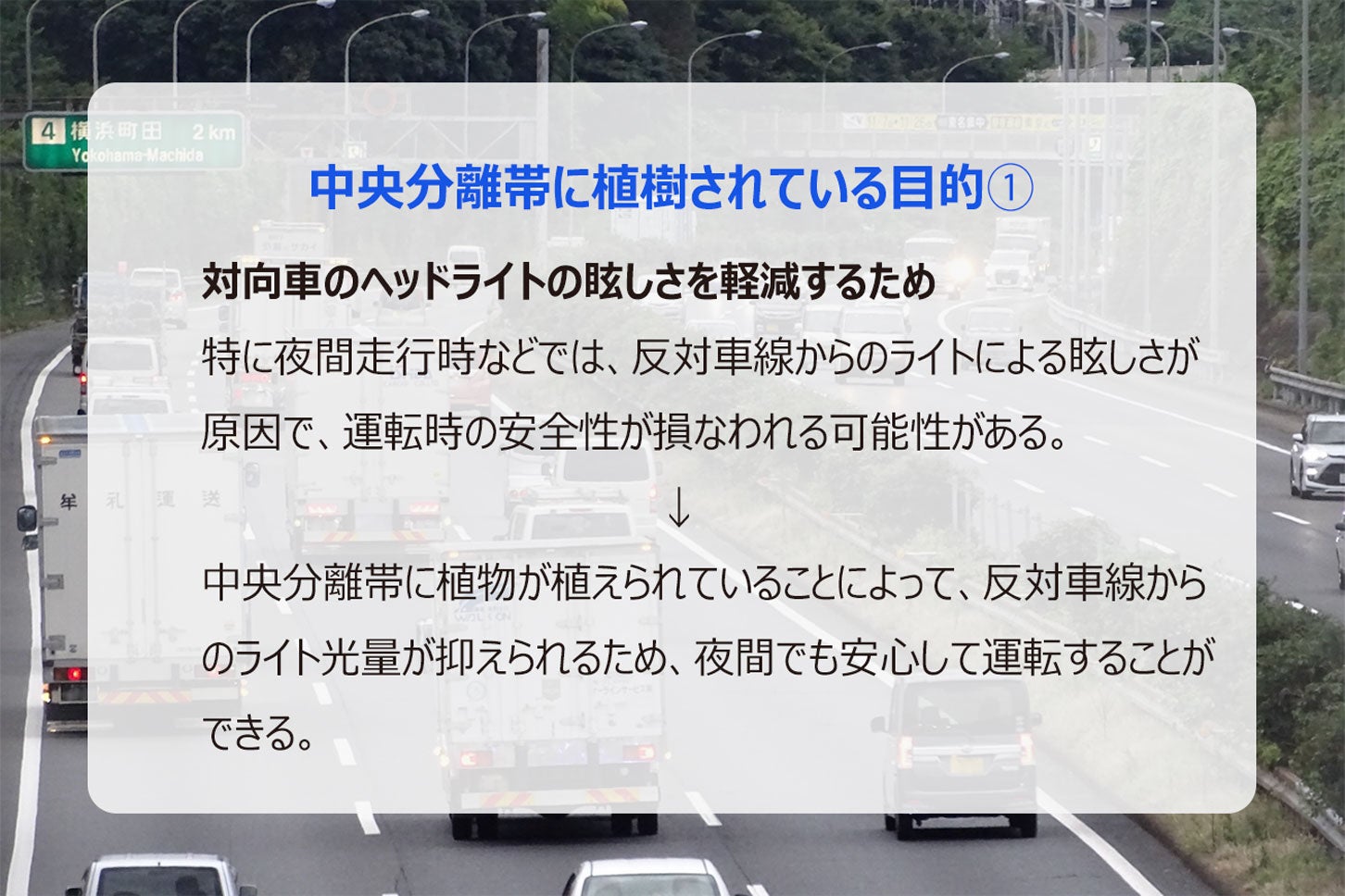 中央分離帯に植樹されている目的①