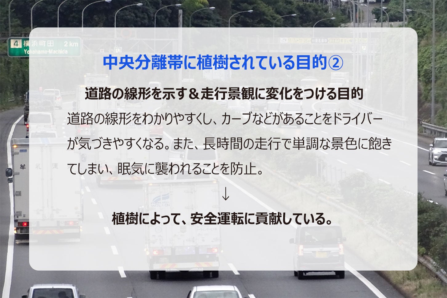 中央分離帯に植樹されている目的②