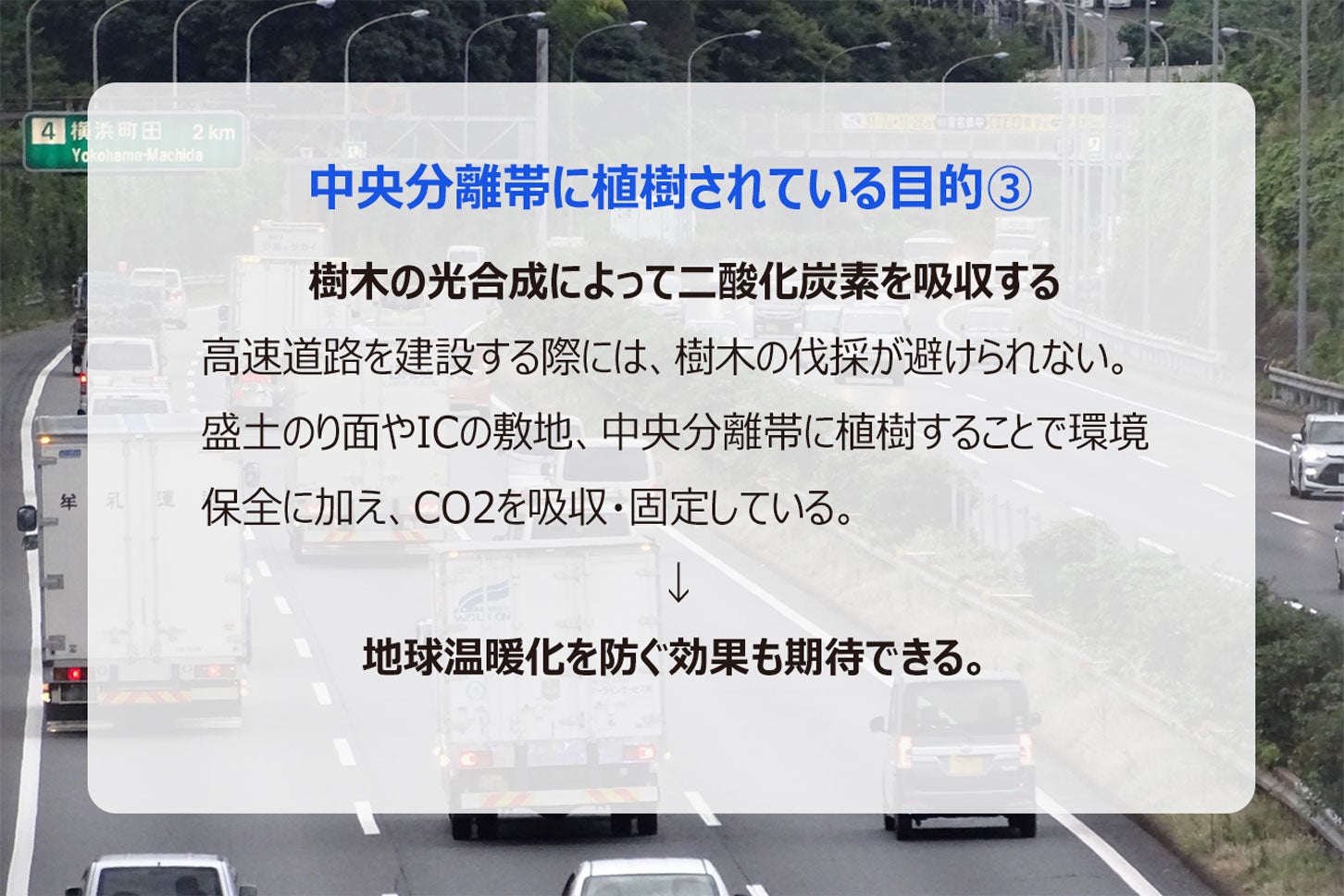 中央分離帯に植樹されている目的③