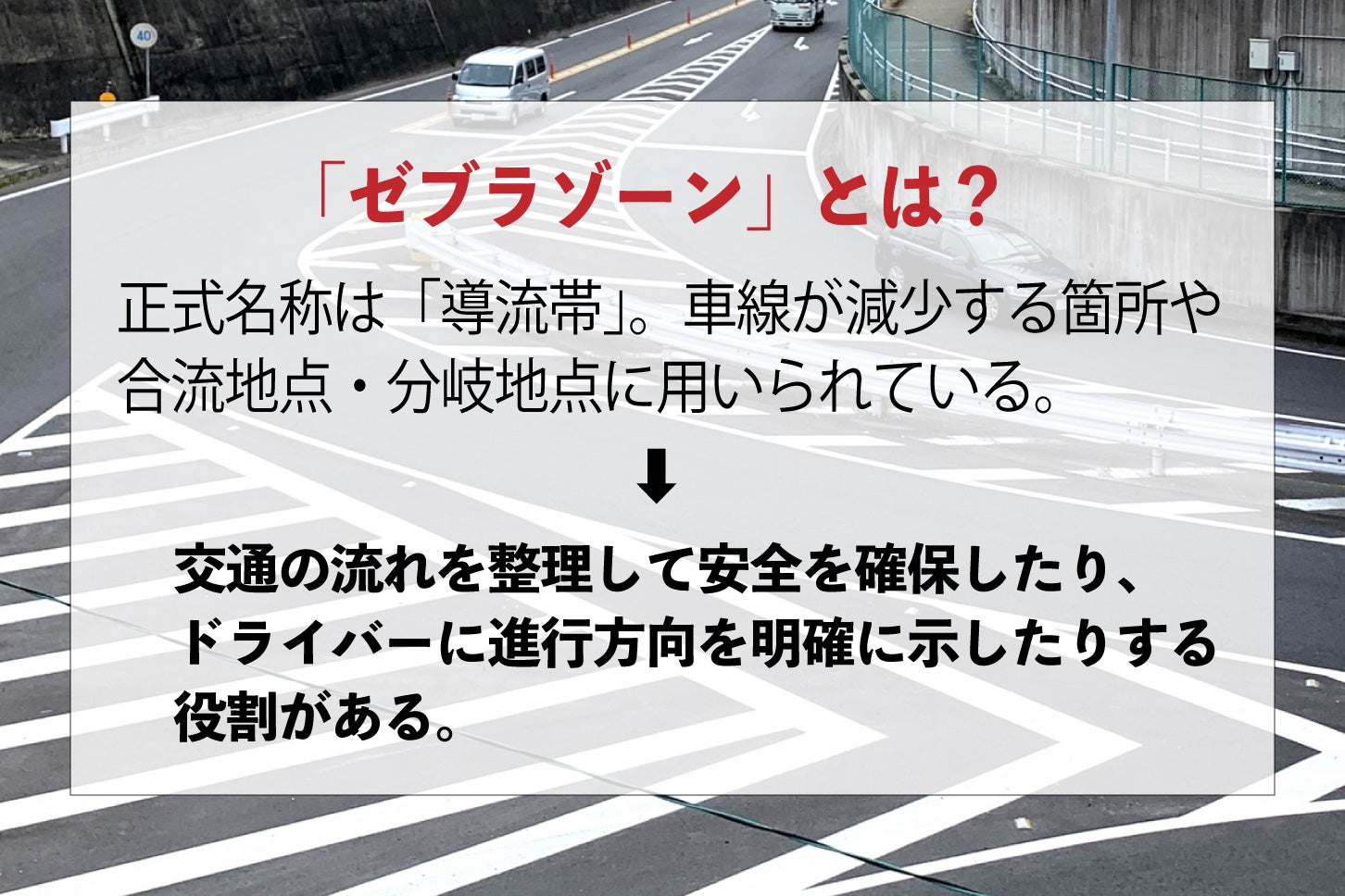 ゼブラゾーンとは？
