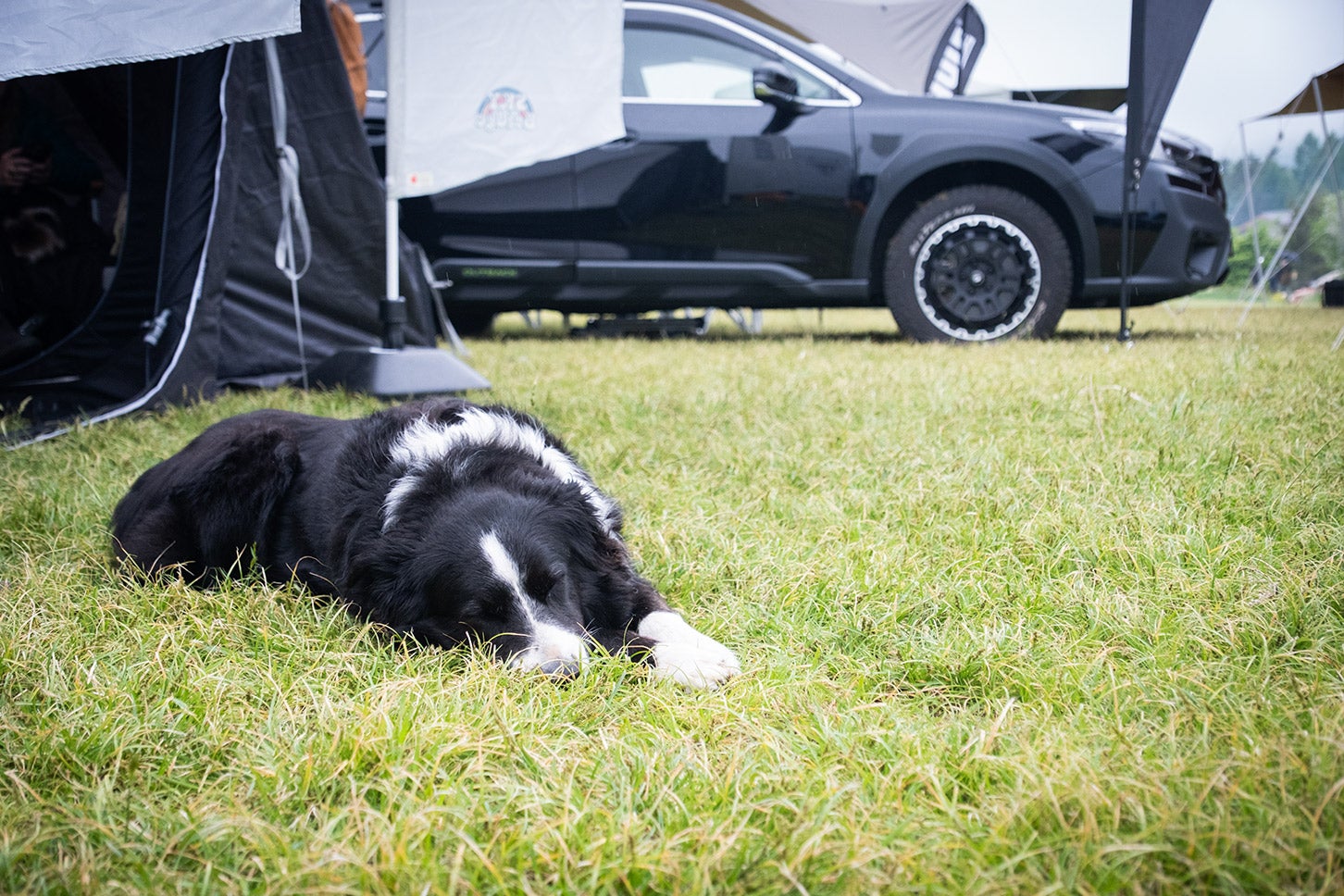 Subaru CAMP 2025 in 無印良品カンパーニャ嬬恋キャンプ 会場の様子