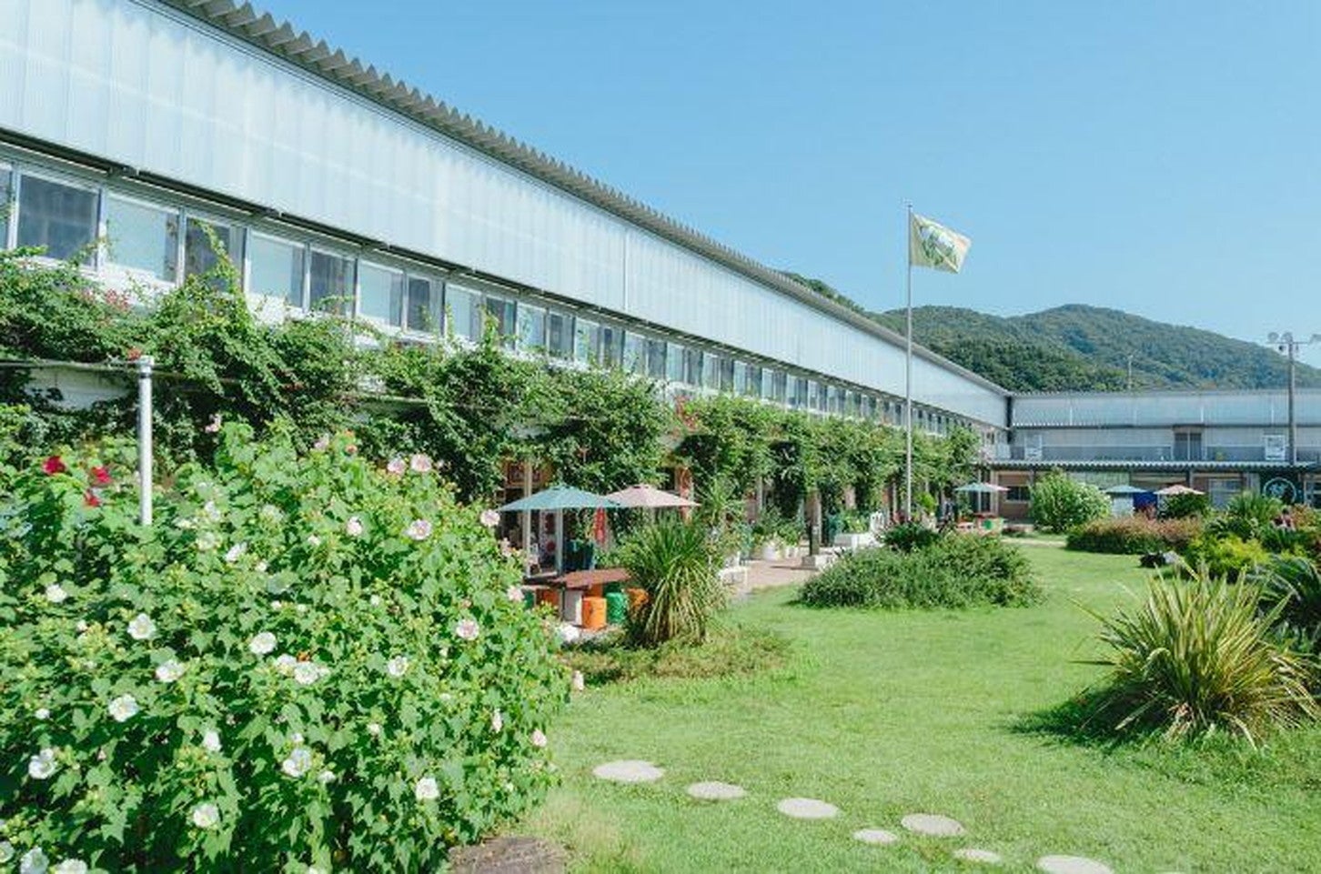 写真提供「道の駅 保田小附属ようちえん」