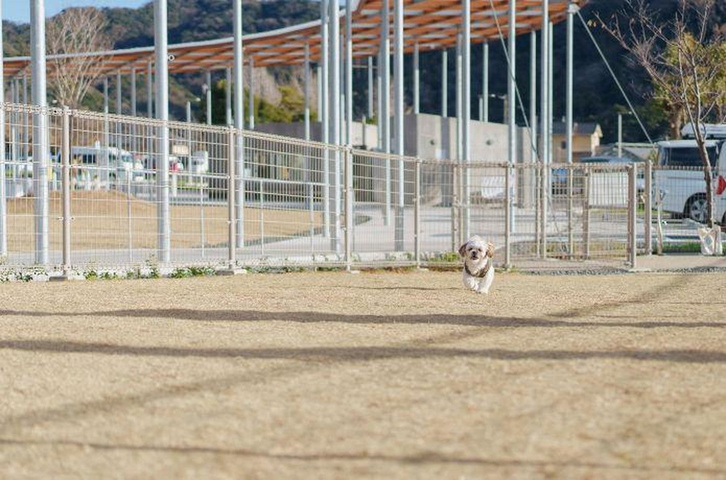 写真提供「道の駅 保田小附属ようちえん」