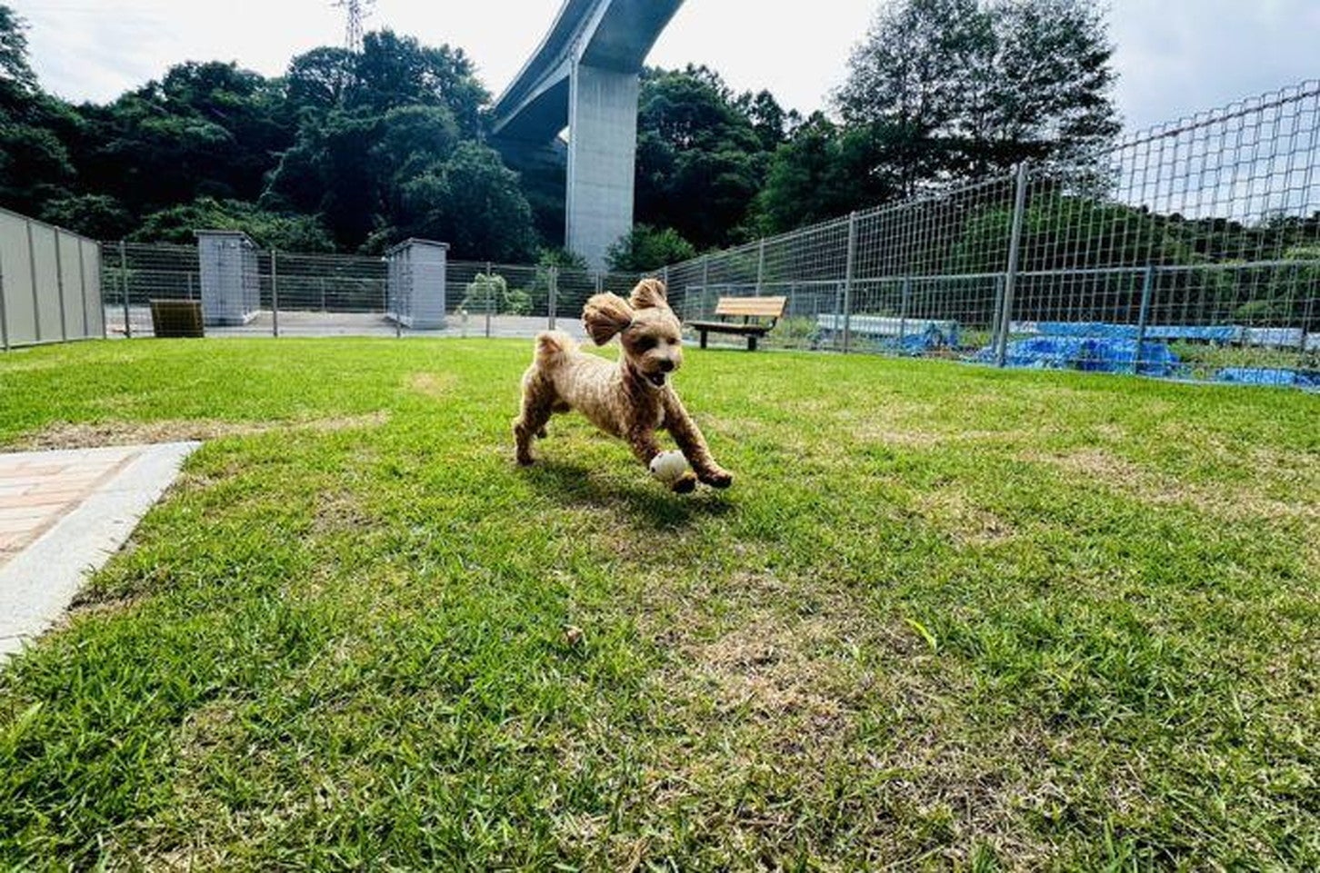写真提供「道の駅 八千穂高原」