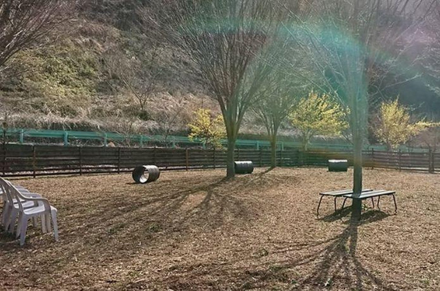 写真提供「道の駅 南きよさと」
