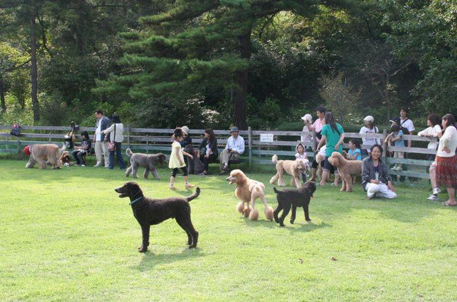 写真提供「道の駅 みやま公園」