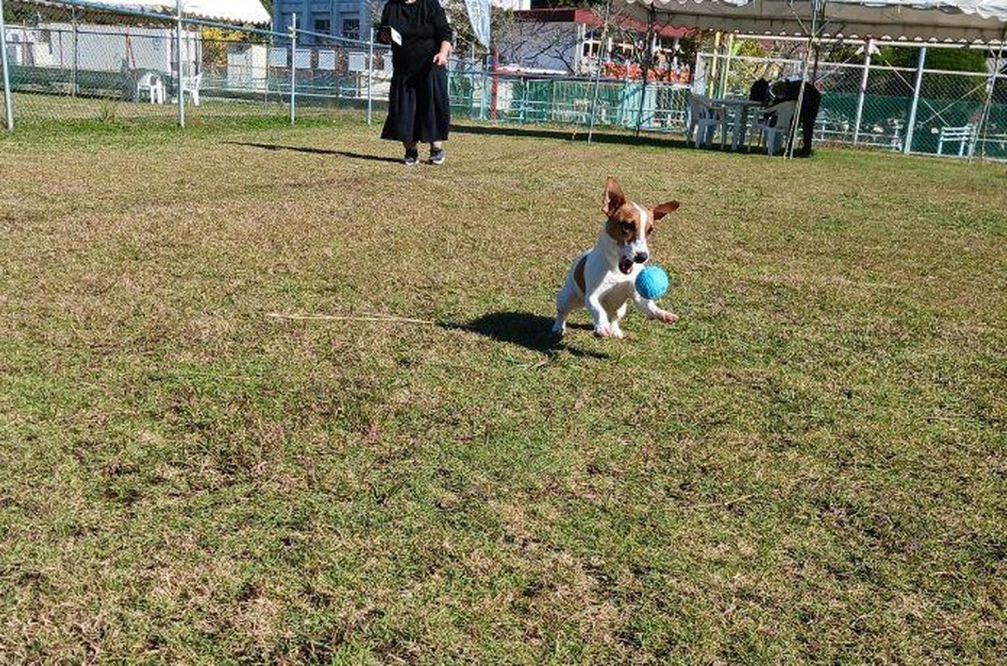 写真提供「道の駅 宮地岳かかしの里」