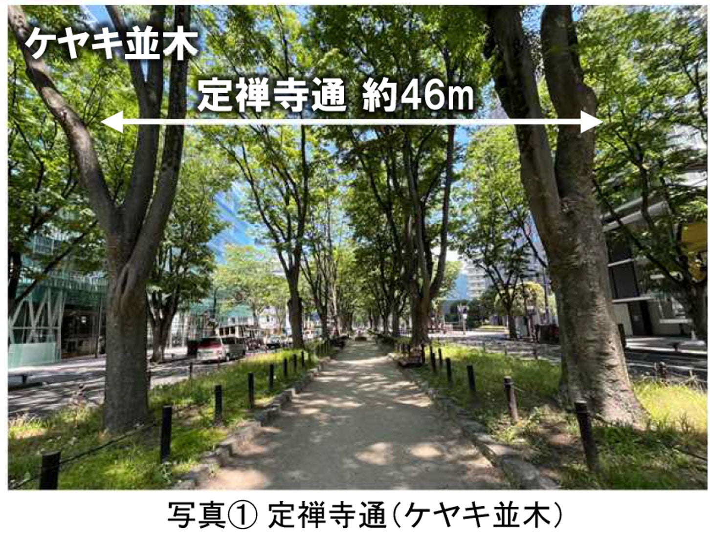 定禅寺通の現況。