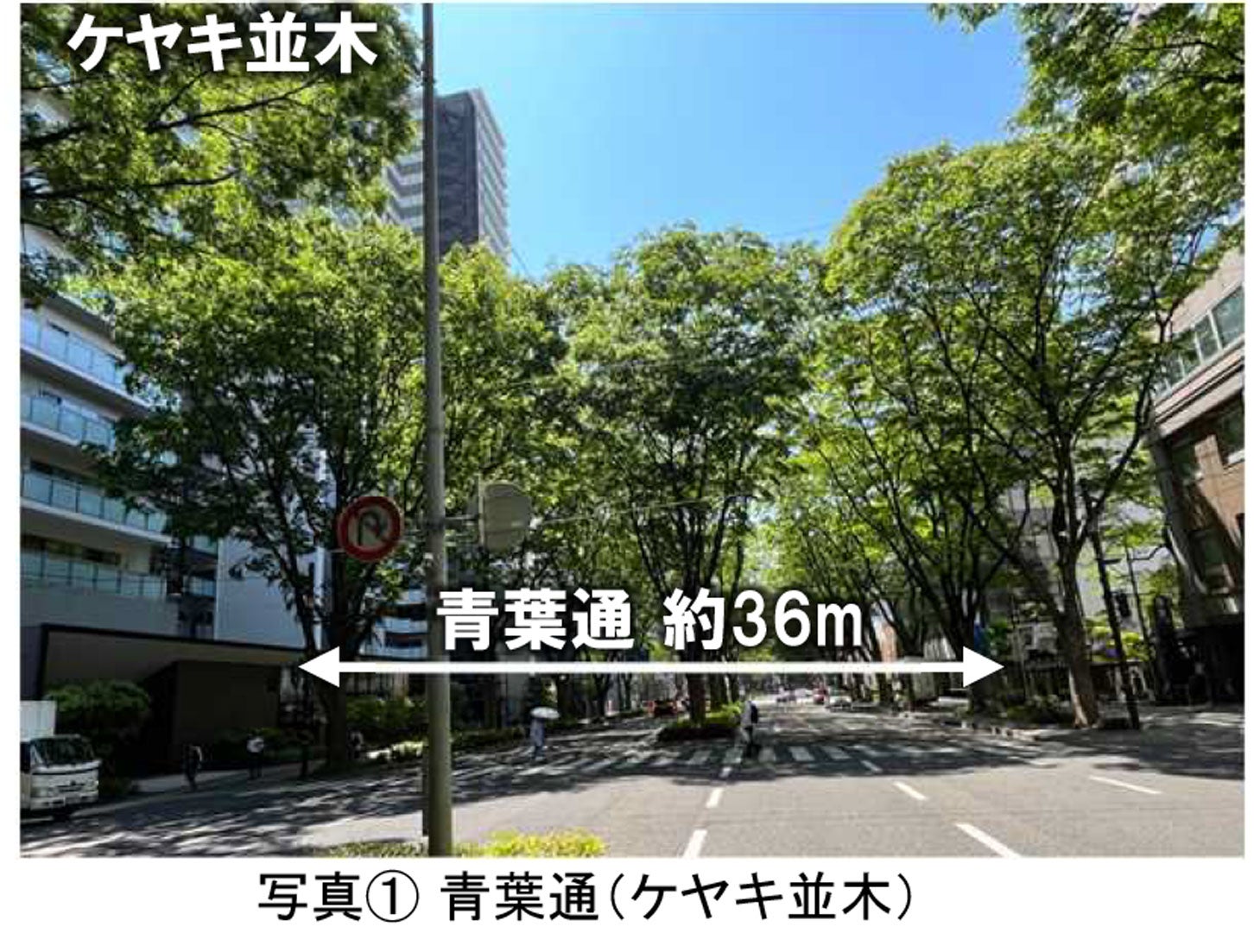 青葉通の現況。