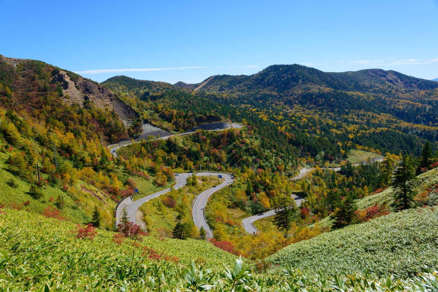 志賀草津道路の様子。(c)Scirocco340 – stock.adobe.com