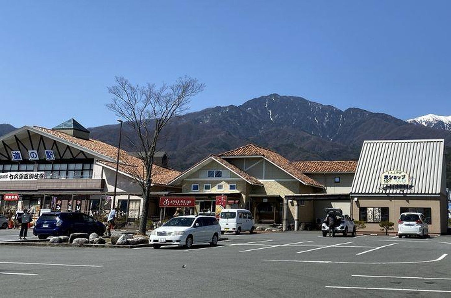 写真提供「道の駅 花の里いいじま」