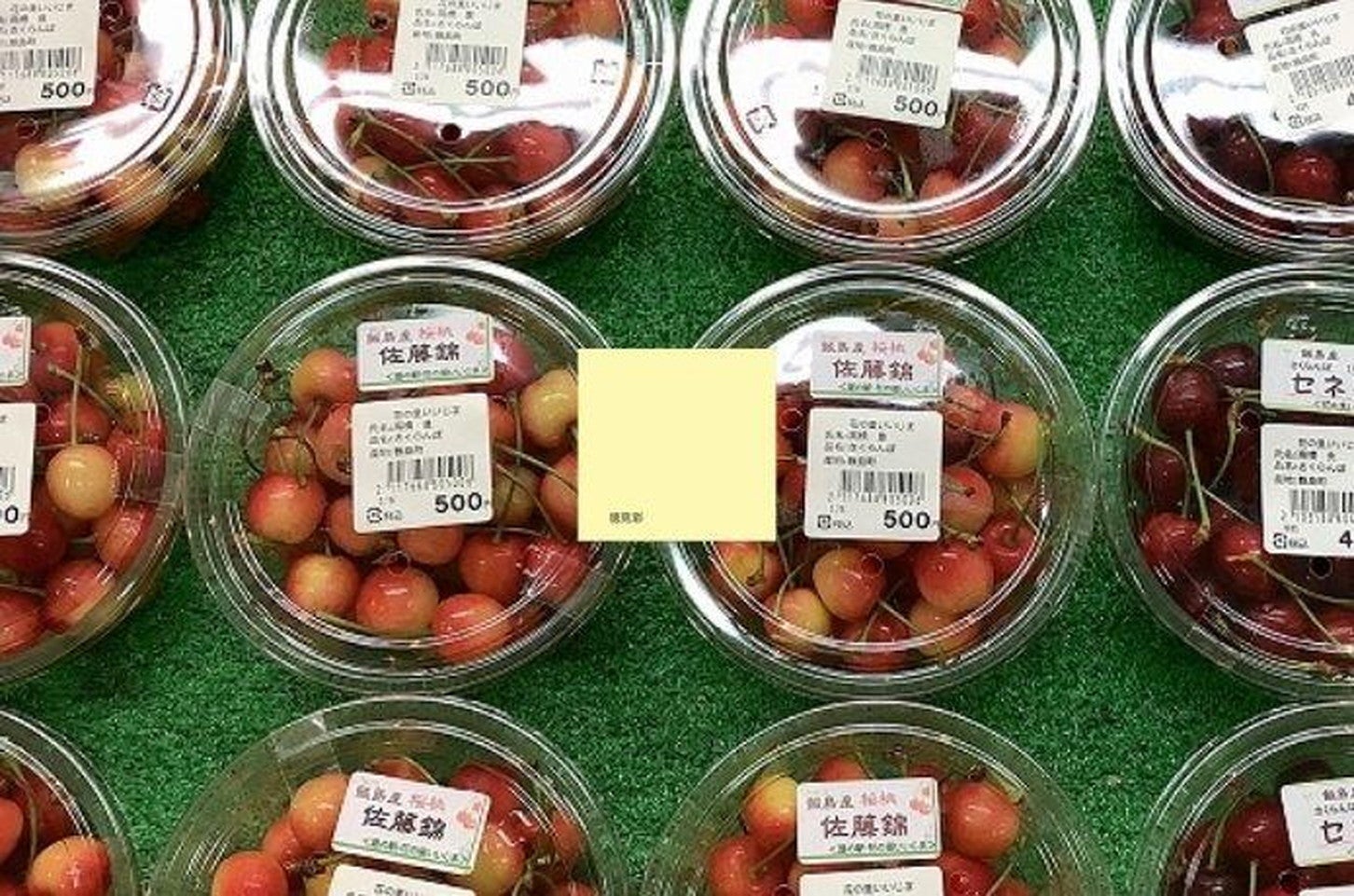 写真提供「道の駅 花の里いいじま」