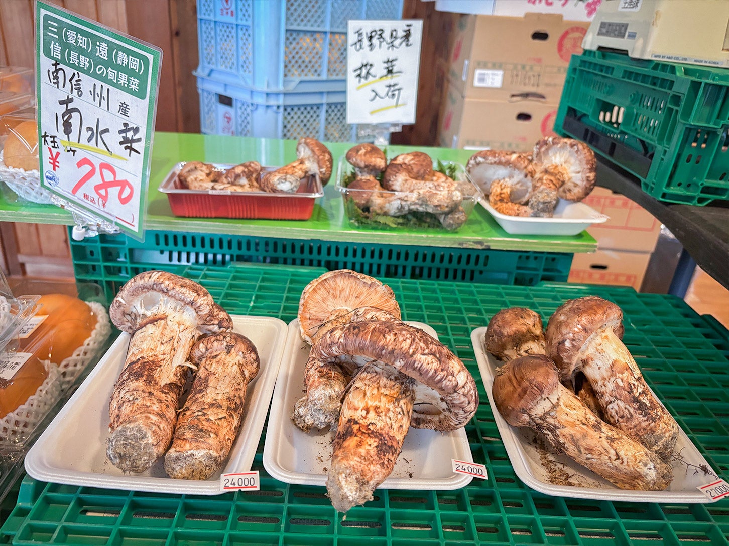 秋の味覚の王様マツタケ！ 大きなサイズで驚きましたが、値段にもびっくりしました。