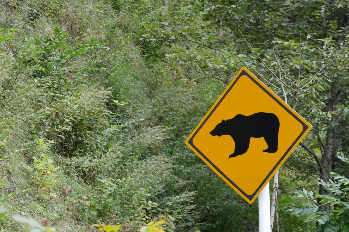 クマ出没注意の警告標識。
