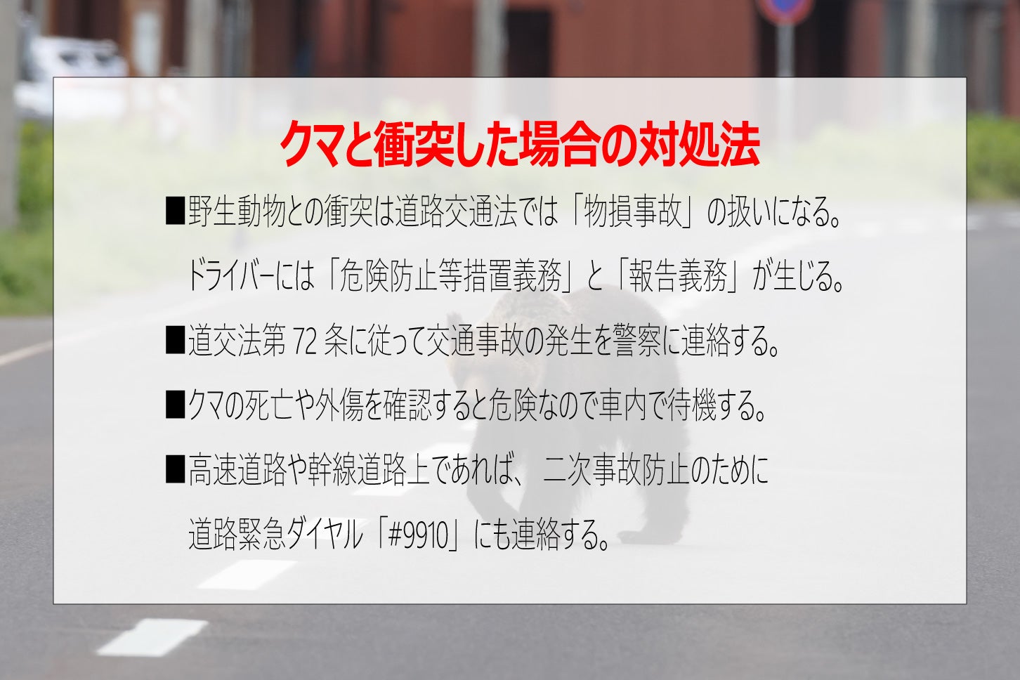 運転中にクマと衝突した場合の対処法。