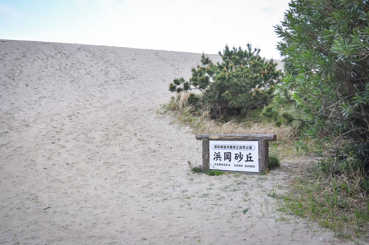 浜岡砂丘から道の駅 風のマルシェ御前崎までの距離は、車で5分ほどです。