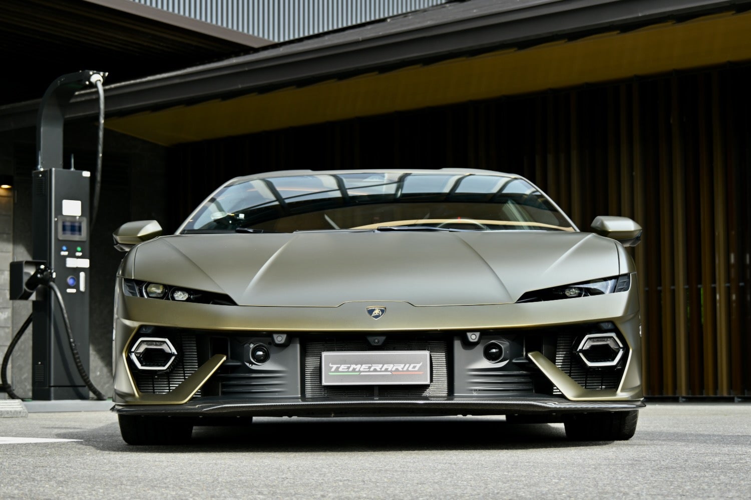 ノーマルテメラリオのエクステリア。