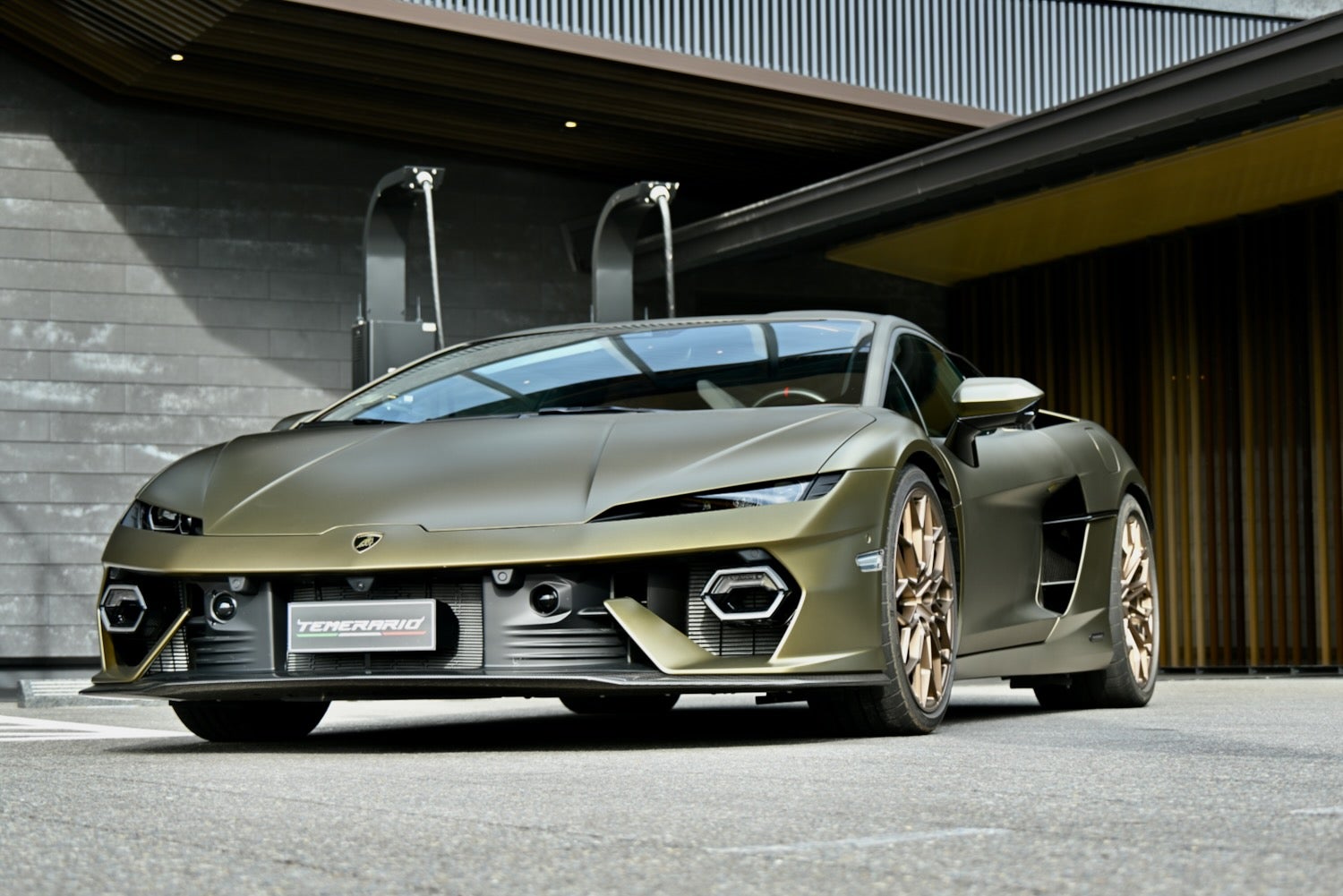 ノーマルテメラリオのエクステリア。