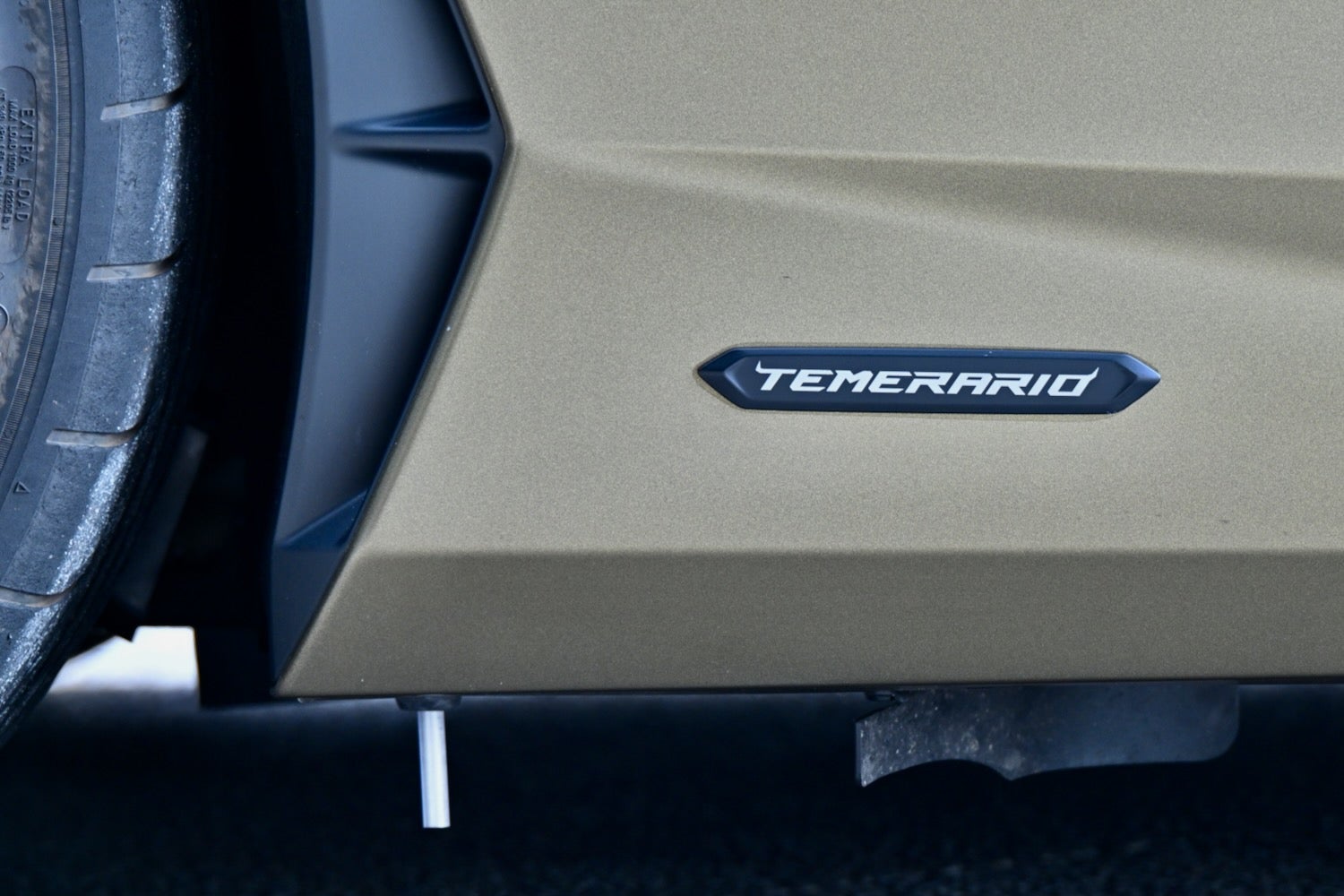 ノーマルテメラリオのエクステリア。