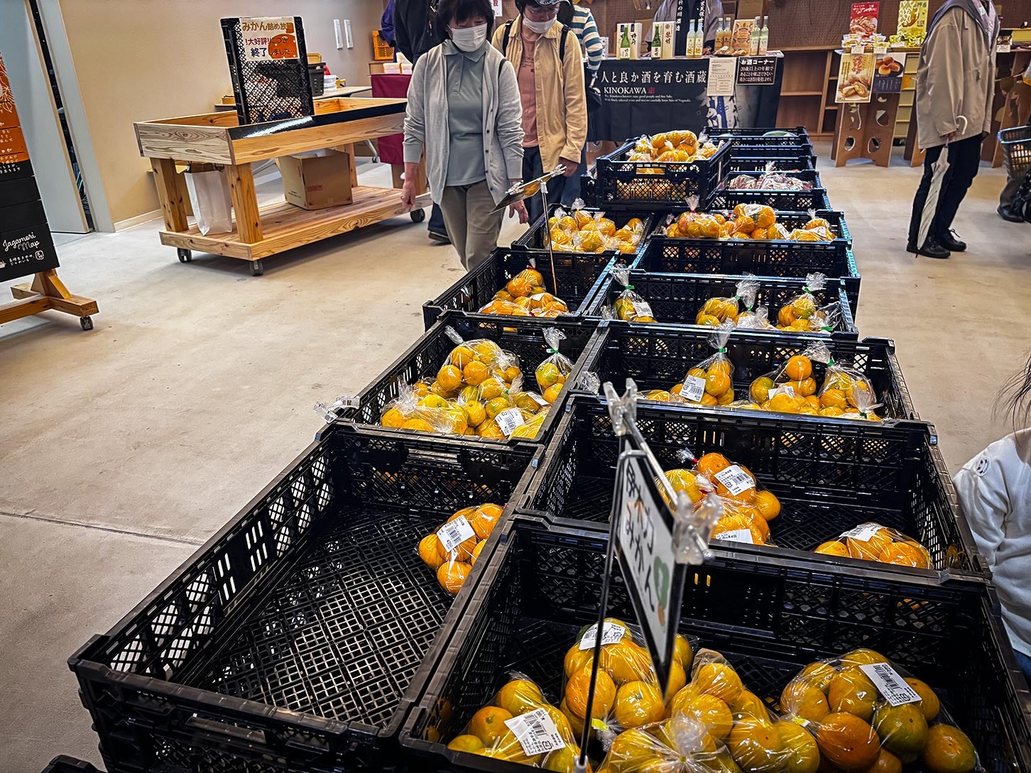 この地域では「伊木力（いきりき）みかん」も有名です。訪れた日には詰め放題も行っていました。