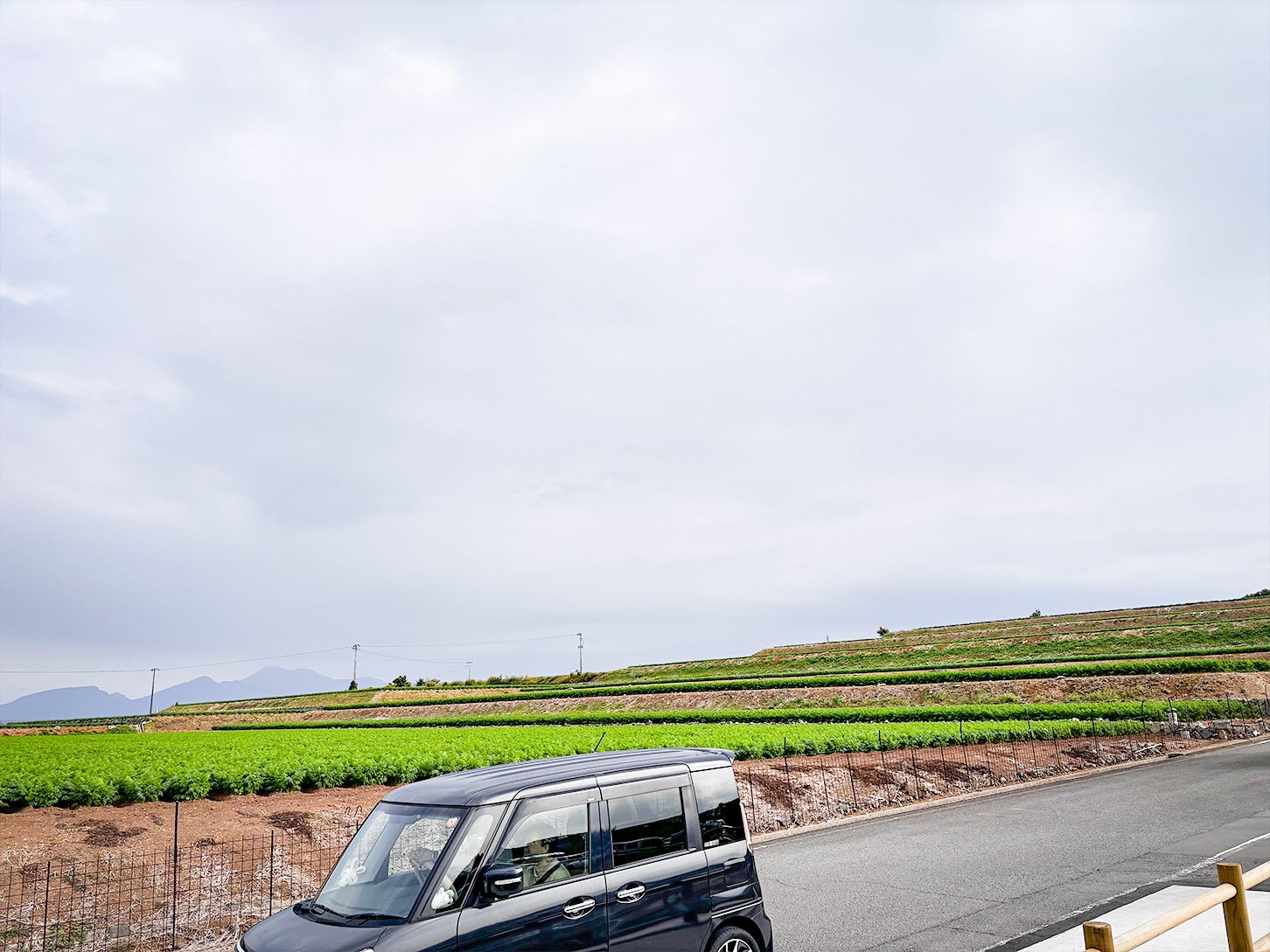 道の駅周辺にはのどかなジャガイモ畑が広がっていました。