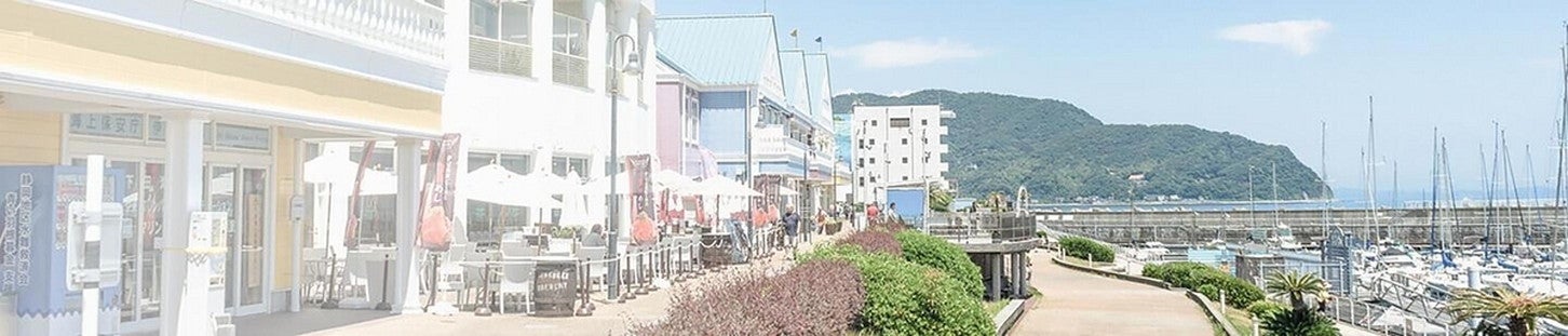 写真提供：道の駅「伊東マリンタウン」