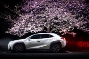レクサスUX300h｜Lexus UX300h