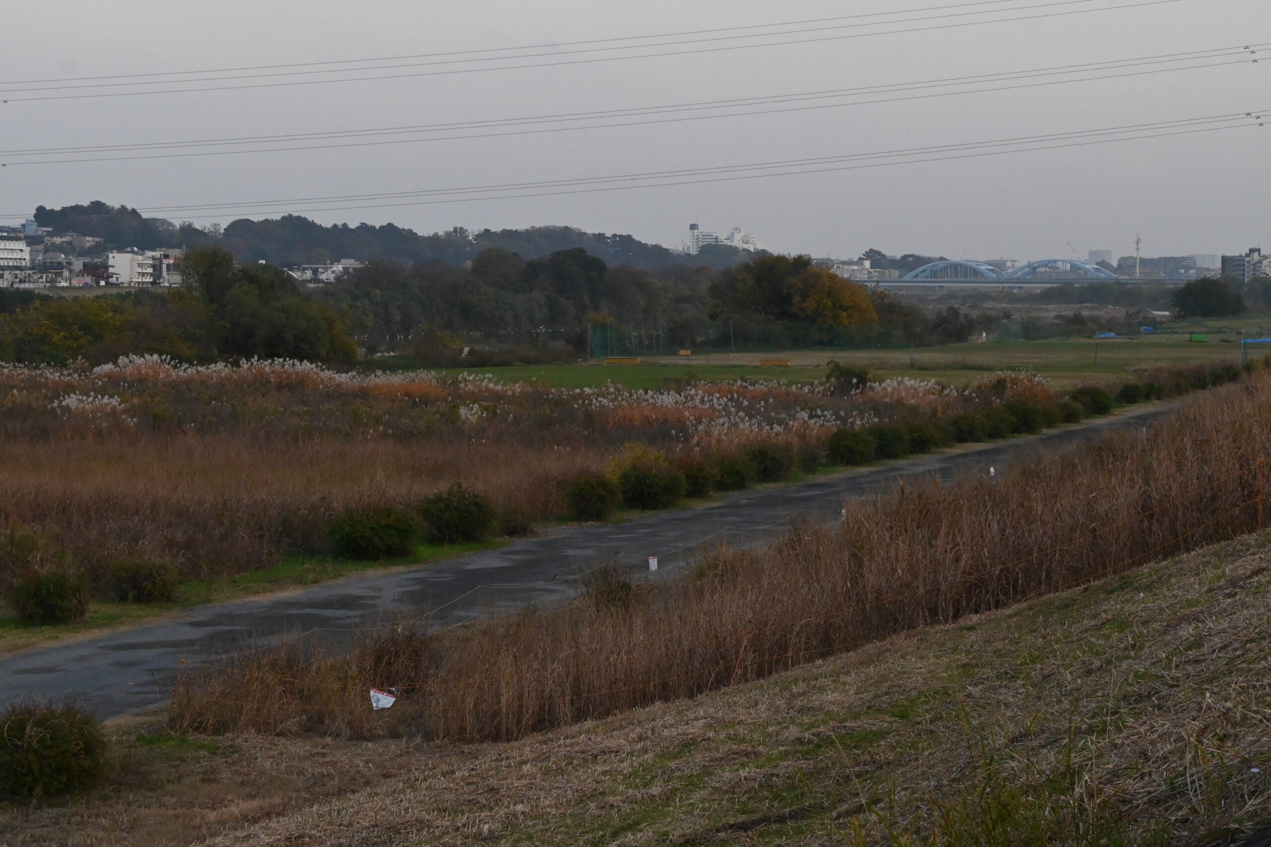 橋梁構造物が一部完成している等々力大橋。