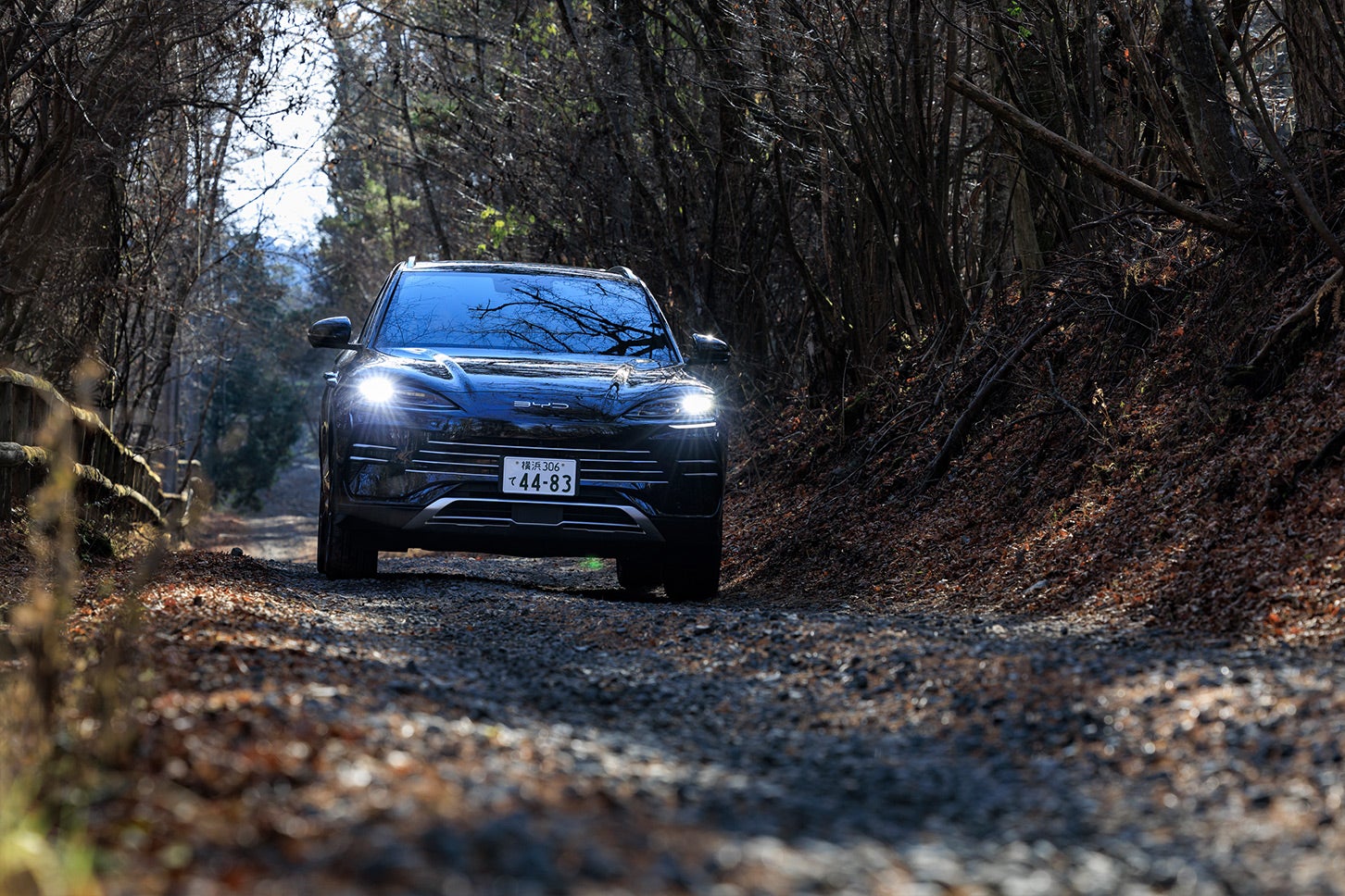 シーライオン6のEV走行換算距離（等価EVレンジ）は100kmで、ハイブリッド燃費（WLTCモード）は22.4km/L。