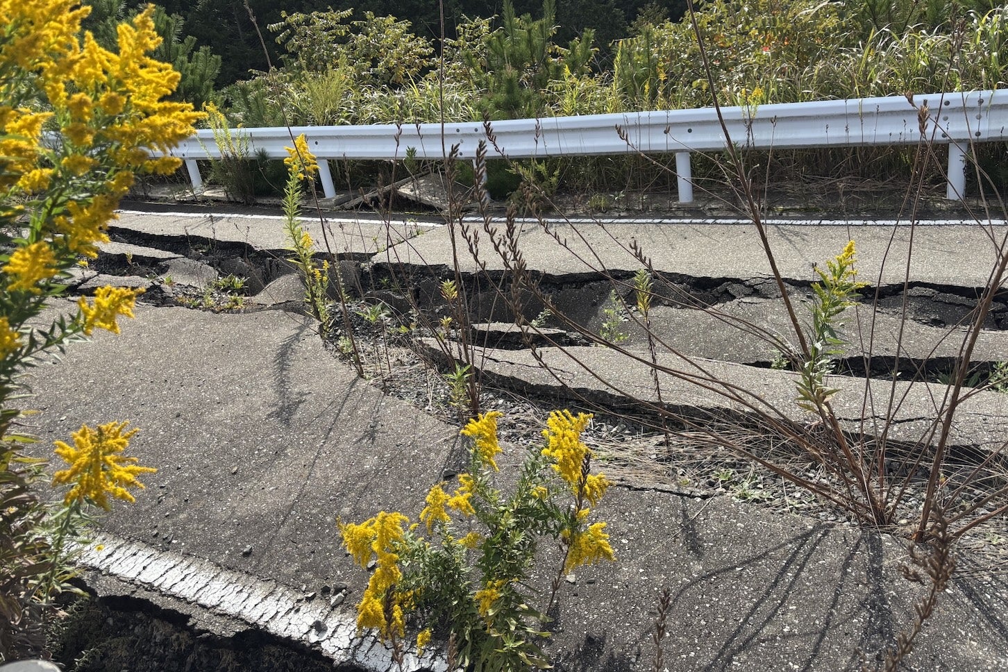 災害発生後は道路が隆起・陥没している場合もある。