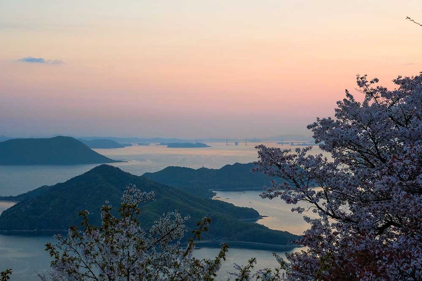 春は桜、初夏はアジサイと四季折々の花が山を彩る