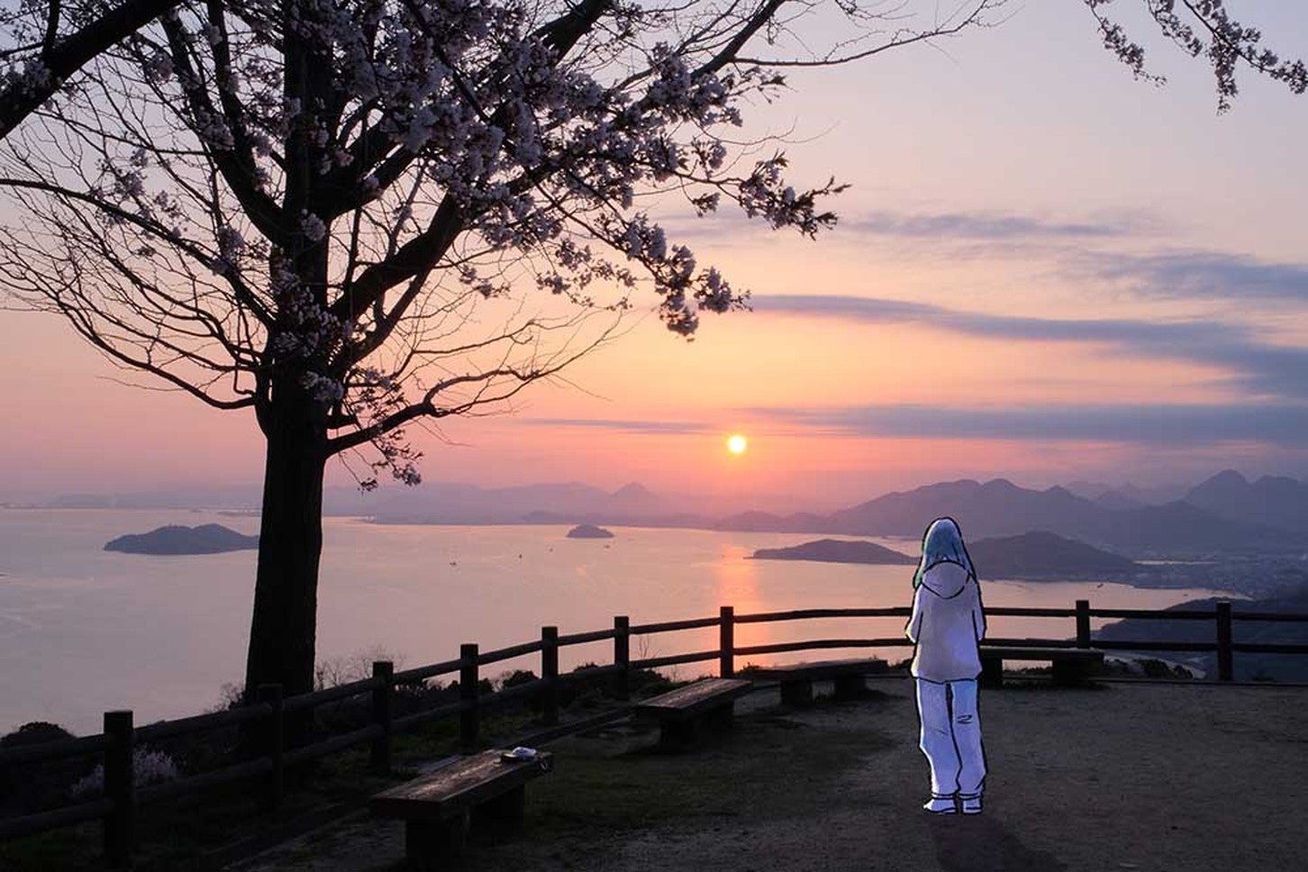 初日の出には毎年多くの人が訪れる