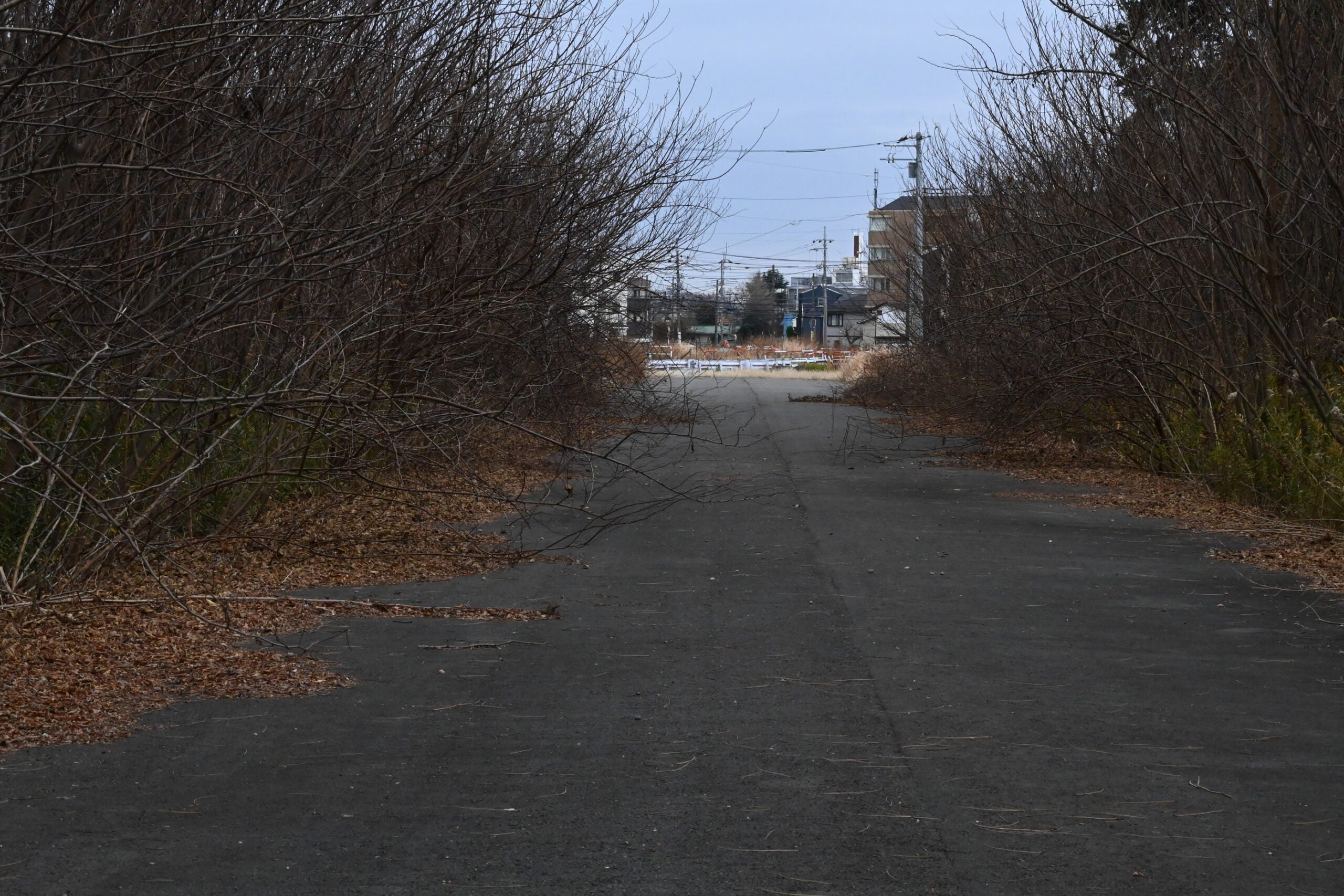 練馬所沢線の用地の様子。