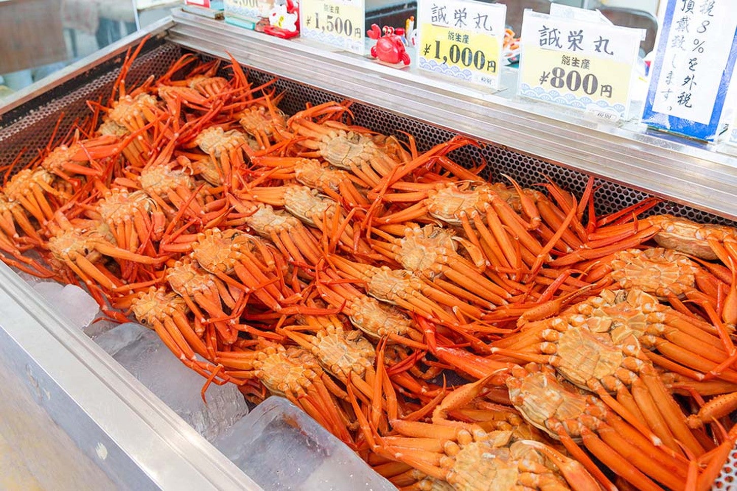 写真提供「RVパーク マリンドリーム能生」